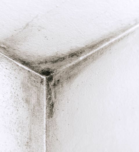 Solving condensation issues with multifoil insulation